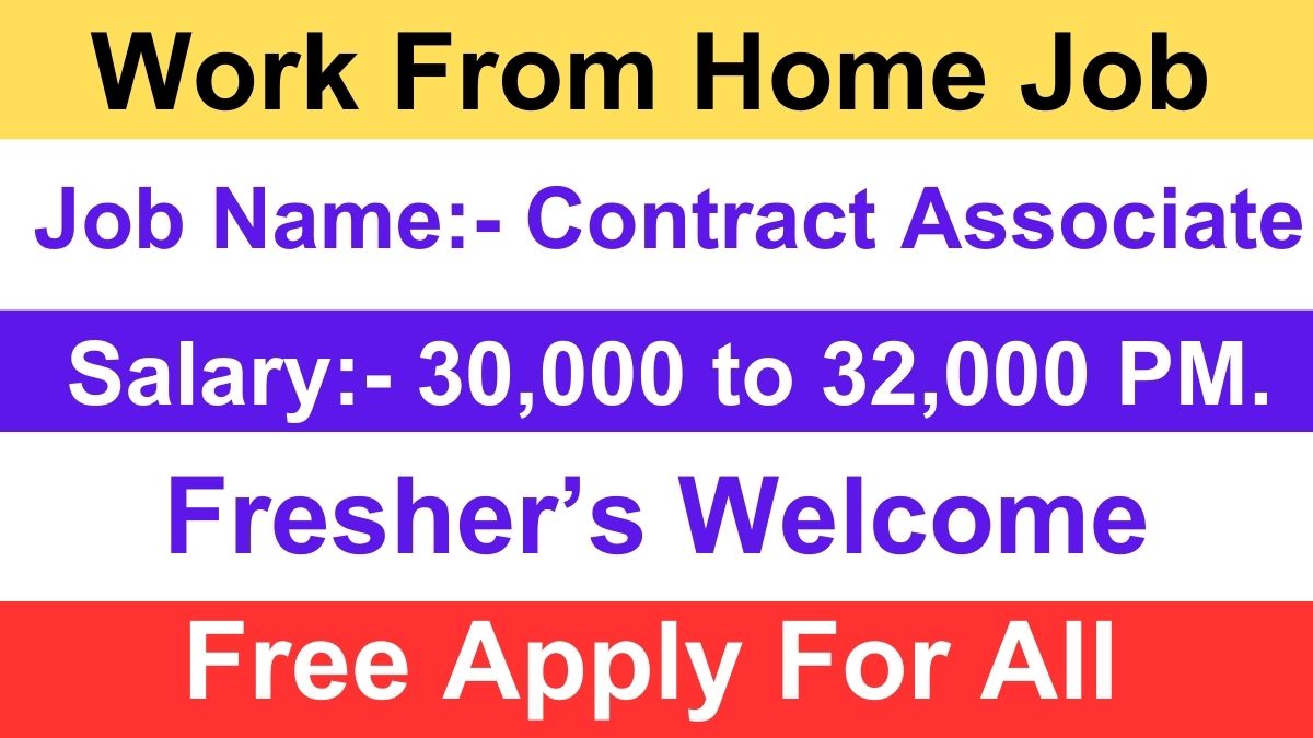 Work From Home Job For Fresher Graudates Student